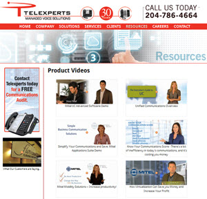 Telexperts